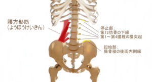 座っていると背中が痛くなる とお悩みの あなたへ 滋賀 大津 肩こり 腰痛 鍼灸整体なら まの鍼灸接骨治療院